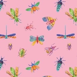 Colorful Vibrant Hand Drawn Insects in Pink Background