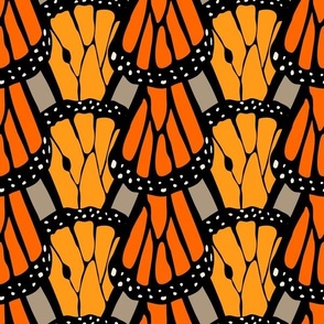 Monarch Wings ©Julee Wood