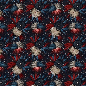 Red White Blue Fireworks Embroidery - Medium Scale