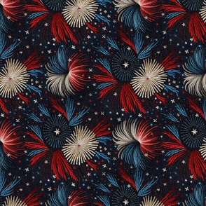 Red White Blue Fireworks Embroidery Rotated - Large Scale