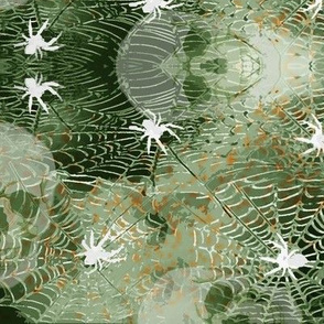 Spiderwebs_and_Skulls