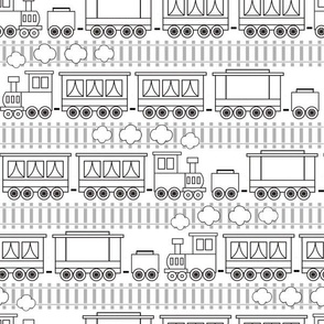 Medium Scale Black and White Trains and Tracks