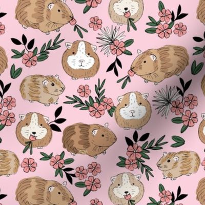 Springtime flower garden - guinea pigs roaming around the fields adorable pets with carrots pink caramel on blush