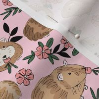 Springtime flower garden - guinea pigs roaming around the fields adorable pets with carrots pink caramel on blush