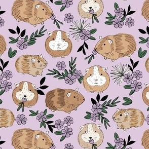 Springtime flower garden - guinea pigs roaming around the fields adorable pets with carrots caramel violet green on lilac purple