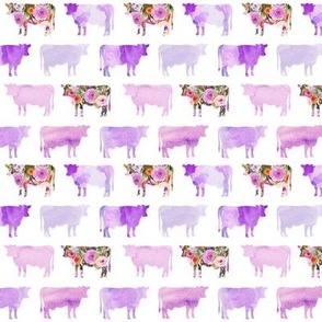 small purple floral + watercolor cows