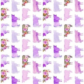 rotated small purple floral + watercolor cows