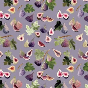 Watercolor Figs on Fig Purple Background