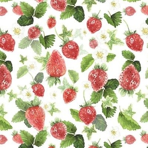 Strawberry Calico - White