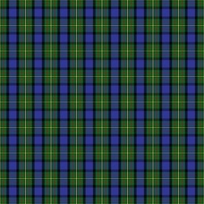 Small Scottish Clan MacLaren Tartan Plaid