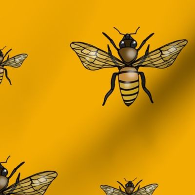 Honey Bees 