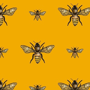 Honey Bees (large scale)  