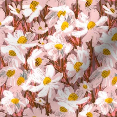 Daisy, Daisy field in pink