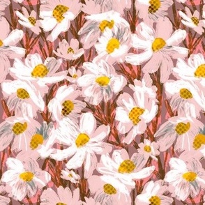 Daisy, Daisy field in pink