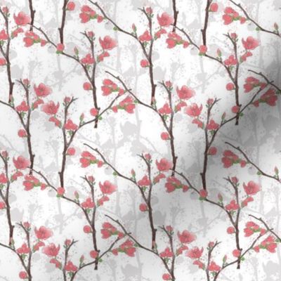 Flowering Quince Branch - White Small