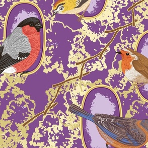 Victorian Birds Collage (macro)