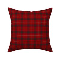 Small Irish County Galway Tartan Plaid