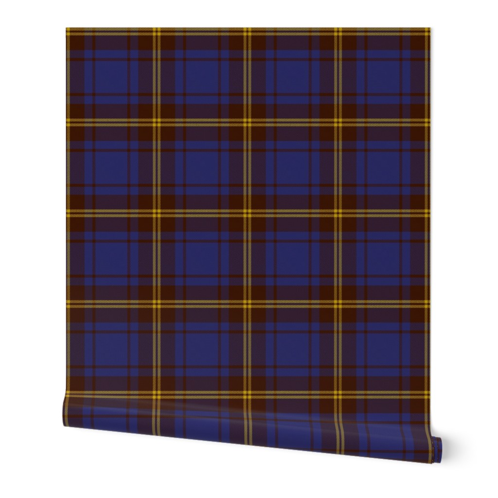 Small Irish County Sligo Tartan Plaid