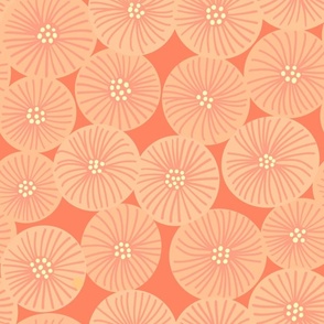 Lazy Daisies - Coral