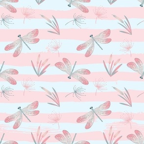Dragonfly pink and blue stripes