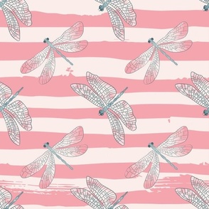 Dragonfly Pink Stripes