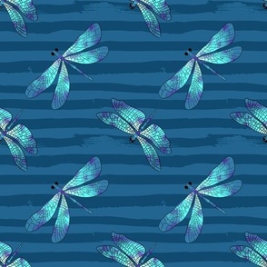 Dragonfly blue stripes