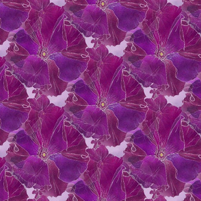 Purple Petunias-21x18