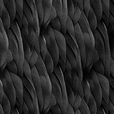 Bird Feathers in Pure Black