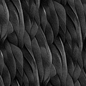 Bird Feathers in Pure Black