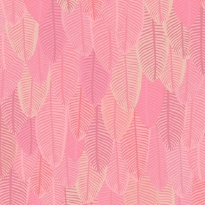 Paradise Feathers {Flamingo} 