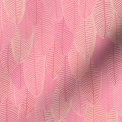 Paradise Feathers {Flamingo} medium