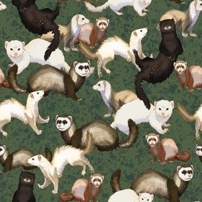Ferret wallpapers APK for Android Download