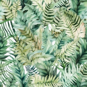 large soft ferns