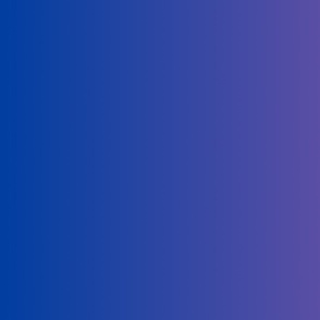 Ombre indigo Purple