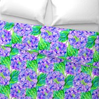 hydrangea watercolor pattern
