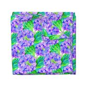 hydrangea watercolor pattern