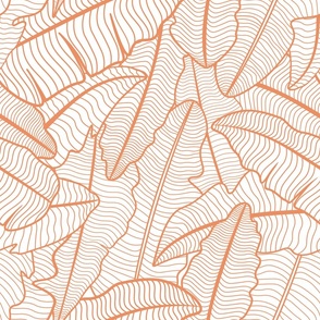 Tropical Banana Leaves Line Art - Peach