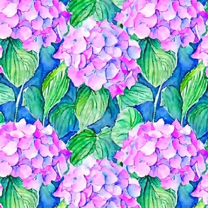 Hydrangea watercolor