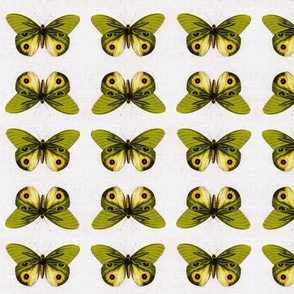 VINTAGE BUTTERFLIES - GREEN AND YELLOW