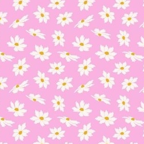 Falling daisy Blooms - glowing pink