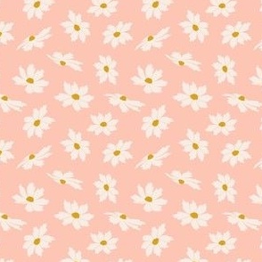 Falling daisy Blooms - Light pink Blush
