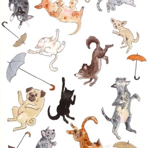 Raining Cats and Dogs 