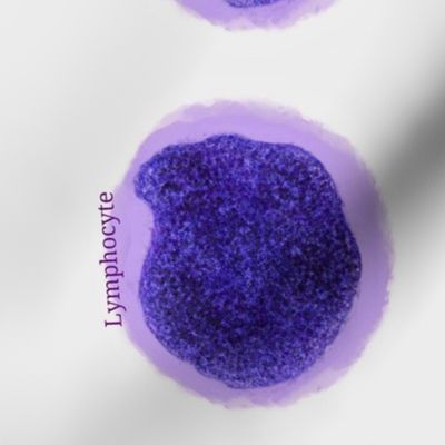 Cells, colorful cells from the cervix.  
These cells are from a Pap smear, benign normal cells that look like flowers.
Use this print for your fun science project.

Cells from the human body prints are also available. 
Cytology,  pathology,  histolog