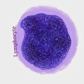 Cells, colorful cells from the cervix.  
These cells are from a Pap smear, benign normal cells that look like flowers.
Use this print for your fun science project.

Cells from the human body prints are also available. 
Cytology,  pathology,  histolog