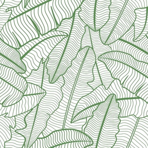 Tropical Banana Leaves Line Art - Kelly Green