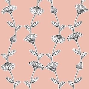 daisies_dusty pink