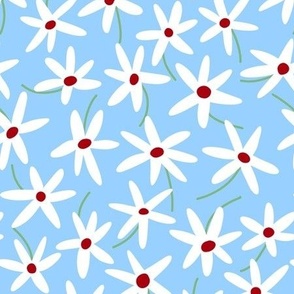 white blue red daisies 