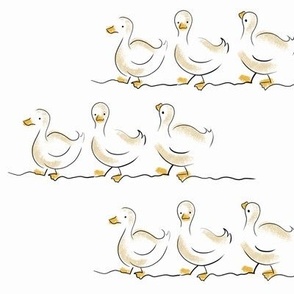 Ducks white