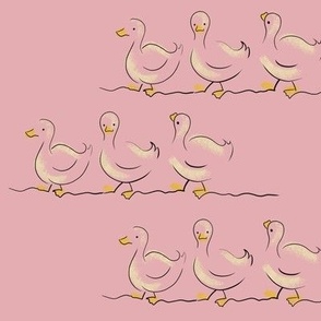 Ducks pink