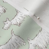 Scottie love - Scottish Terrier dogs sweet freehand sketched puppies vintage pastel mint green